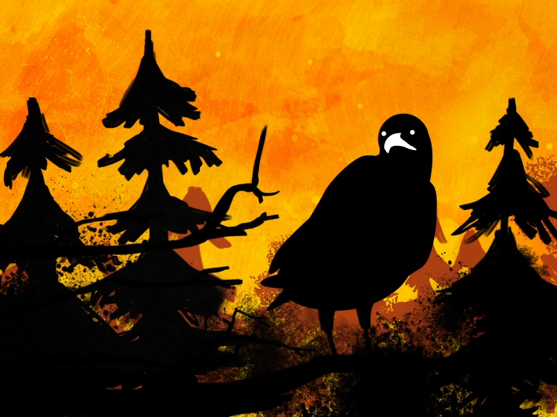 Don't Think Twice | Bird 2d after effects animation autumn bird creepy danger illustrator music photoshop silhouette trees