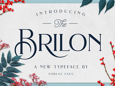 Brilon Font + Extras art decor calligraphy design display elegant elegant design elegant font elegant fonts elegant serif elegant serif font font font resources fonts handwriting minimal sans serif sans serif font serif font serif fonts stylish