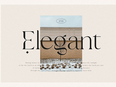 Bulgari - Modern Font by Fonts on Dribbble