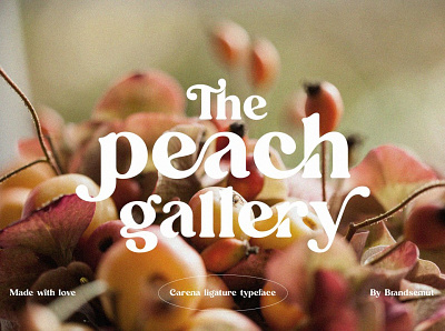 Carena - Ligature Serif Font calligraphy design display elegant font font resources fonts handwriting handwritten lettering ligature logo modern fonts sans serif sans serif font sans serif fonts serif serif font serif font family serif fonts