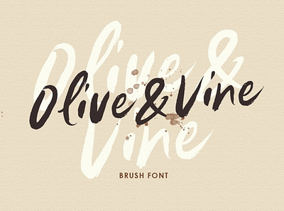 Olive & Vine - Brush Font advertising branding brush brush font classy display elegant fashion font fonts lettering logo minimalist modern sans serif script serif typeface typography unique