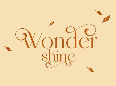 Wondershine - Premium Font branding design display elegant fonts font design fonts fonts collection logo logo fonts modern fonts premium premium font premium fonts roman fonts sans serif script fonts serif serif font serif fonts simple