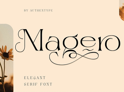 Magero Elegant Premium Font christmas curly decorative display elegant fantasy fashion font fonts headline invitation lettering logo luxury modern romantic sans serif serif valentine wedding