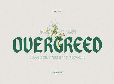 Overgreed - Premium Font black blackletter bold calligraphy display english fancy fonts fun logo modern old premium premium font premium fonts rounded sans serif vintage