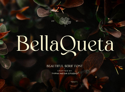 Bella Queta - Beautiful Premium Font beautiful book card classic classy display elegant expressive fantasy glamour logo modern novel premium premium font premium fonts romantic sans serif serif wedding