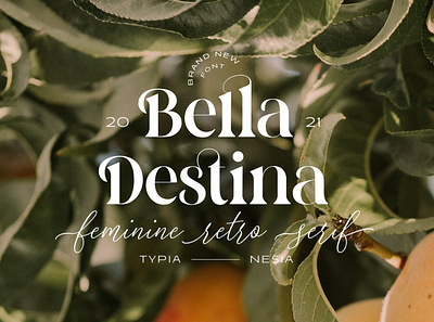 Bella Destina - Beauty Premium Font beautiful beauty brand branding classic classy display drama elegant glamour logo logos novel premium premium font premium fonts romantic serif vintage wedding