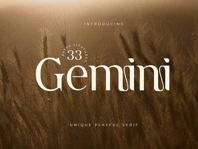 Gemini Display Font branding design display display font download elegant font font awesome ligature logo logo type luxury font modern sans serif script serif tittle type design typeface typography