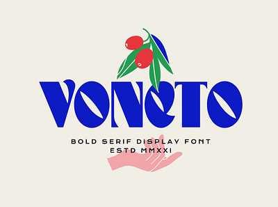 Voneto Display Font advertising branding calligraphy classy display display font elegant fashion font fonts lettering logo magazine minimal modern sans serif serif typeface typography unique