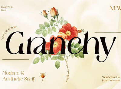 Granchy Aesthetic Font advertising branding calligraphy classy display display font elegant fashion font fonts lettering logo luxury minimal modern sans serif serif typeface typography unique