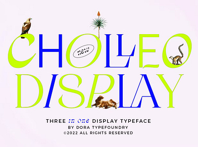 Free Cholleo Display Font advertising branding classy display display font elegant fashion fonts lettering logo luxury magazine minimalist modern sans serif serif stylish typeface typography unique