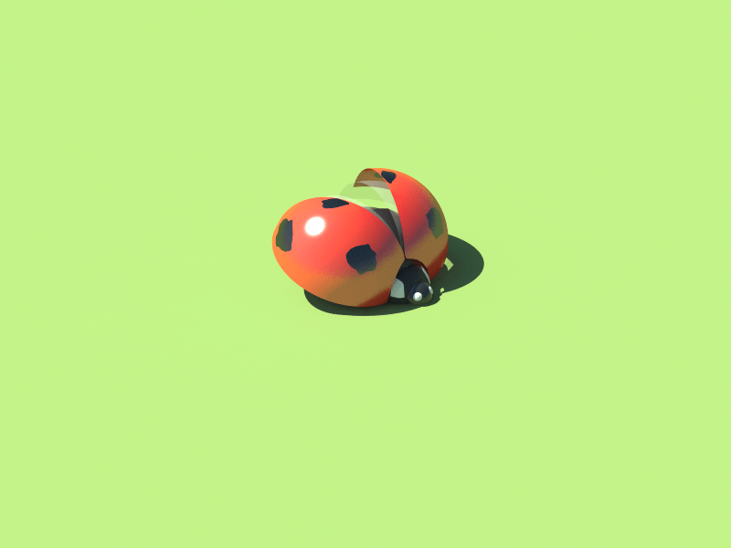 Coccinellidae 3d animation bug dribbble gif icon illustration loop mograph movie texture