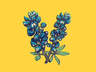 Vandoliers Bluebonnet V blue bluebonnet bluebonnets flower graphic illustration texas tshirt vandoliers yellow