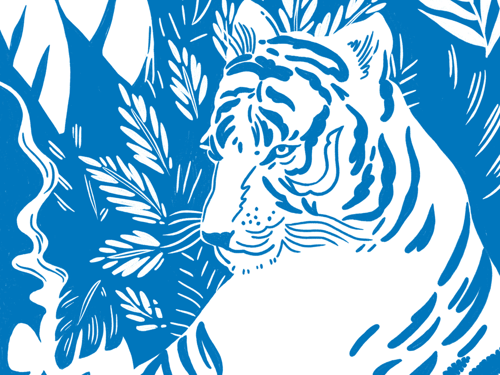 jordan kay starbucks sumatra coffee animatedgif illustration jungle layers packaging design packaging illustration screenprint sumatra texture tiger