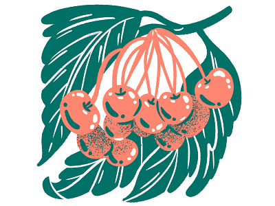 Two Color Cherries botanicals cherries cherry foliage food food illustration fruit fruit drawing fruit illustration illustration silkscreen spot spot illustration texture