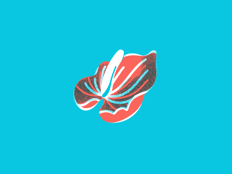 Anthurium Stamen Wiggle animated anthurium giphy giphy sticker jordan kay limited color loop loop animation sexy stamen texture wiggle