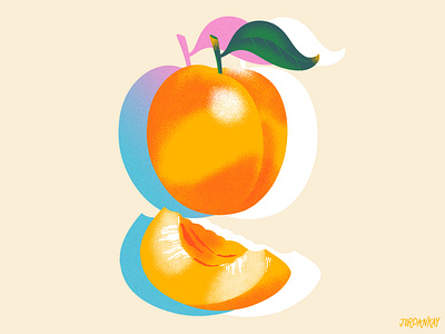 Apricot Textures drawing editorial illustration food fruit gradient illustration noise texture
