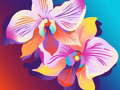 Orchids & Gradient art blossom drawing editorial editorial illustration flower flowers gradient houseplant illustration jordan kay noise orchids pattern summer texture tropical tropical flower