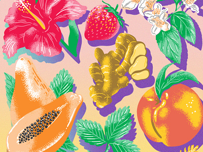 Fruit & flower illustrations for Chateau Ste. Michelle