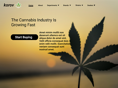 Korov cannabis cannabis branding cannabis design