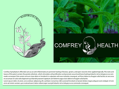 comfrey Logo alphabet logo app app logo design banner design brand identity branding comfrey eco logo ecology logo ntural logo mark organic logo vector