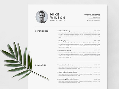 Clean Cv-Resume a4 clean cv clean resume cv cv design cv template job resume letter modern cv modern resume new popular professional resume resume resume design resume template simple cv simple resume template templates