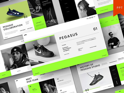 Pegasus Multipurpose Template