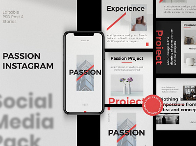 Passion Instagram Posts & Stories blog blogger branding design instagram instagram banner instagram post instagram posts instagram stories instagram story template instagram template modern post posts social media social media pack social media template stories story template