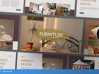 Furniture Multipurpose Template