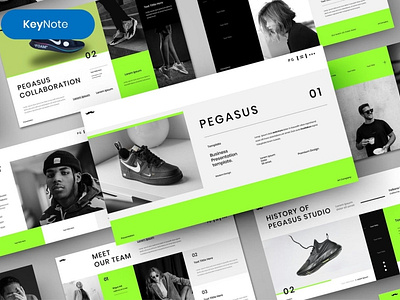 Pegasus Multipurpose Template