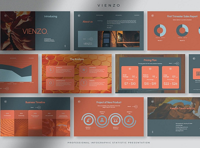 Vienzo - Professional Infographic Presentation clean colorful company corporate google slides keynote modern multipurpose multipurpose template photography pitch deck portfolio powerpoint presentation studio template unique web design web development website