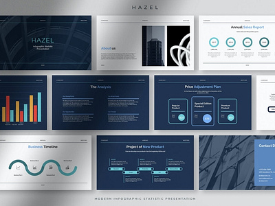 Hazel - Professional Modern Infographic Statistic