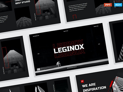 Leginox Multipurpose Template