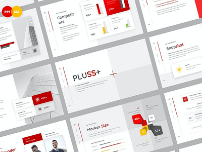 PLUSS - Elevator Pitch Presentation