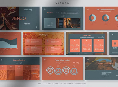 Vienzo Presentation Template business client color colorful company corporate entrepreneur infographic pitch pitch deck powerpoint ppt presentation presentation template professional slide slides startup statistic statistics