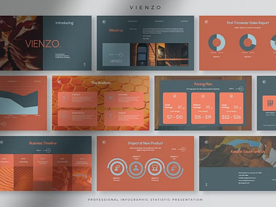 Vienzo Presentation Template