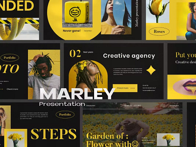 Marley Multipurpose Template clean colorful company corporate design google slides keynote modern multipurpose multipurpose template photography pitch deck portfolio powerpoint studio template unique web design web development website