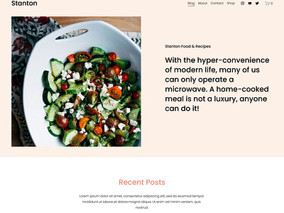 Stanton - Website Template - Squarespace