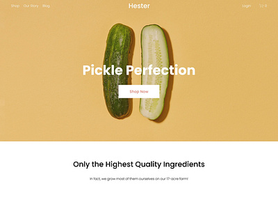 Hester - Website Template - Squarespace