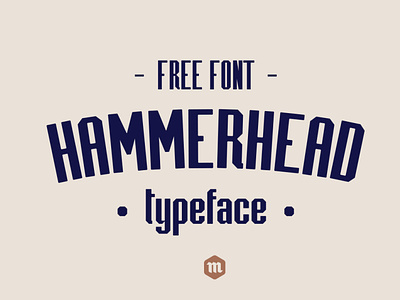 Hammerhead Typeface | Font san serif font clean professional business graphic font design illustration branding graphic design typography headfonts typeface