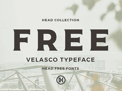 Velasco Typeface custom display font free freebie freefont glyphsh headfonts letters typeface typography