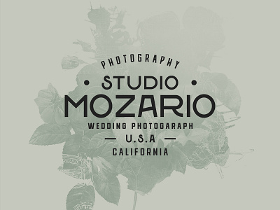 Wedding Font Pairing badge font logo photograhy photography logo photography studio type typography wedding wedding card wedding font wedding fonts wedding invitation wedding invite wedding photography