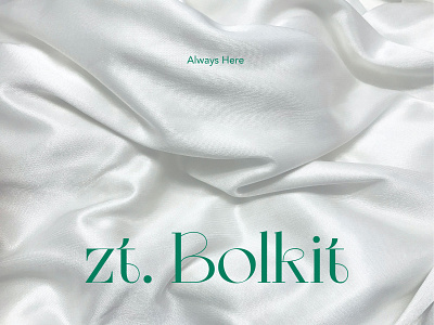 zt. Bolkit app branding design handwritten illustration logo sans serif serif typography ui
