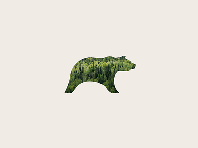 STONE BEAR logo animal bear design forest good icon logo mark minimal tieatie visual wild
