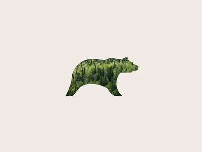 STONE BEAR logo