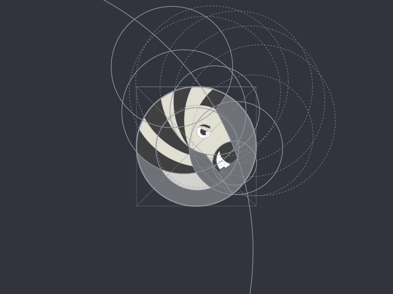 Zebra dribbble construction