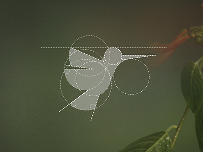 Colibri [CONSTRUCTION] bird brand colibri construction design grid idea logo mark tieatie