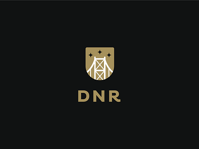 DNR brand mark branding branding agency elegant elegant logo flower icon letter light logo mark startup