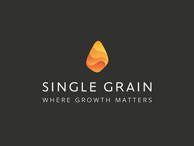 "Single Grain" rebranding app online startup brand book identity designer brand branding growth strategy marketing logo mark design modern icon mark orange gradient geometric redesign single grain rebranding tieatie aiste
