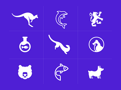 Animal Kingdom - logos