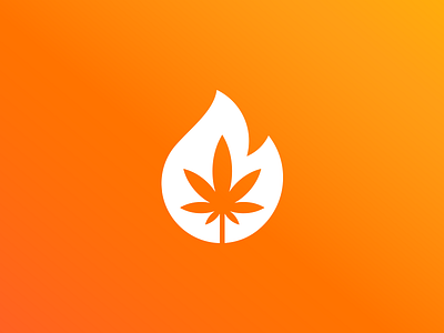 Fire! branding cannabis colors concept design icon illustration logo